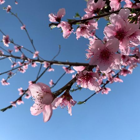Itaca B&B 피아노 디 소렌토 외부 사진